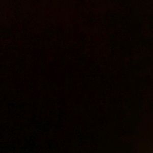 Meet your Posher, Ramon